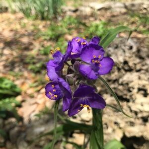 Meet your Posher, Jess